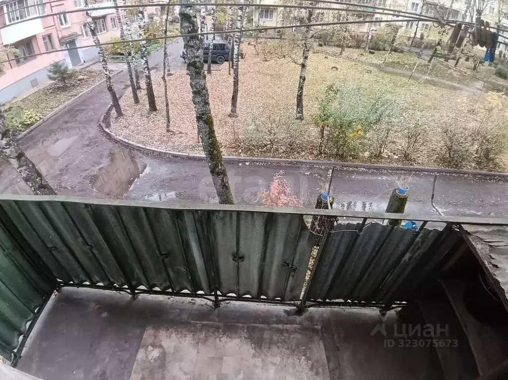 1-к кв. Тверская область, Тверь ул. Фадеева, 31 (31.2 м) - Фото 1