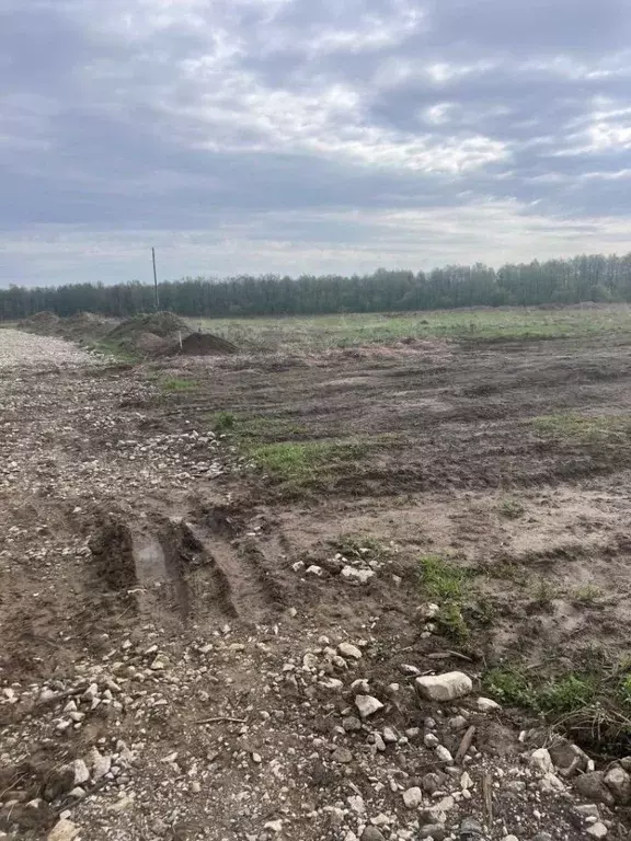 Участок в Нижегородская область, Володарск Центральная ул. (10.2 сот.) - Фото 1