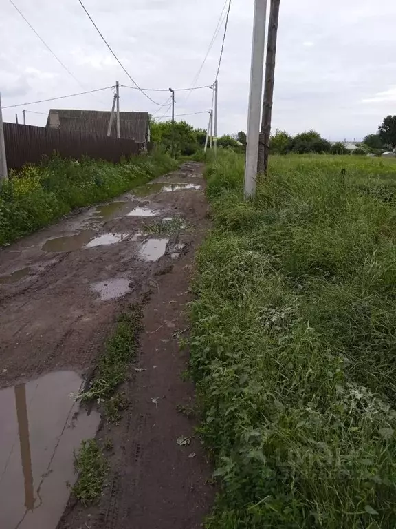 Участок в Воронежская область, Семилукский район, Латная рп ул. Ленина ... - Фото 1