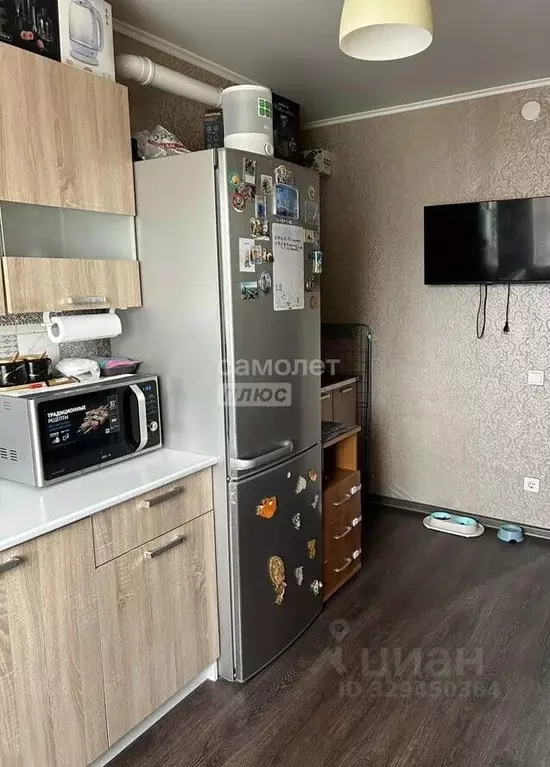 1-к кв. Липецкая область, Липецк Школьная ул., 24 (32.7 м) - Фото 2