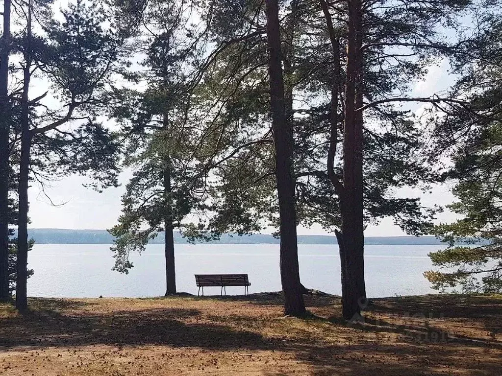 Участок в Ленинградская область, Приозерский район, Громовское с/пос, ... - Фото 0