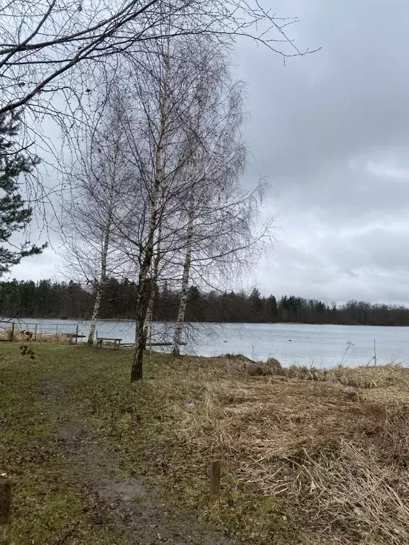 Участок в Ленинградская область, Ломоносовский район, Ропшинское ... - Фото 1