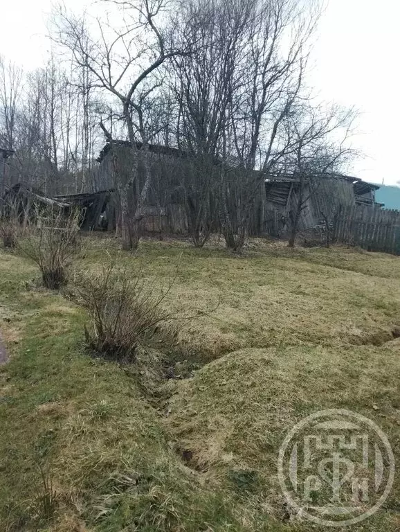 2-комнатная квартира: посёлок Мшинская, Лесной переулок, 10А (51.6 м) - Фото 2