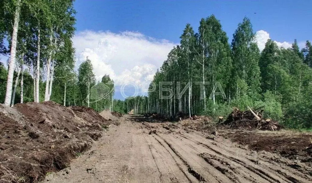 Участок в Тюменская область, Нижнетавдинский район, Строитель ТСН ул. ... - Фото 1