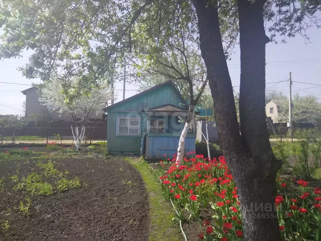 Участок в Липецкая область, Липецк Ветеран труда СНТ, ул. Раздельная, ... - Фото 2