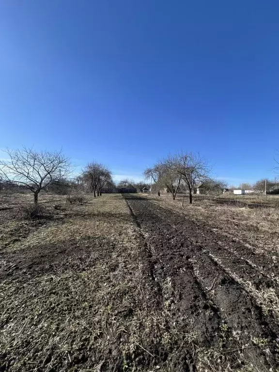 Дом в Брянская область, Брянский район, Мичуринское с/пос, Мичуринец ... - Фото 1
