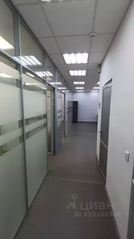 Офис в Татарстан, Казань ул. Клубная, 16А (80 м) - Фото 2