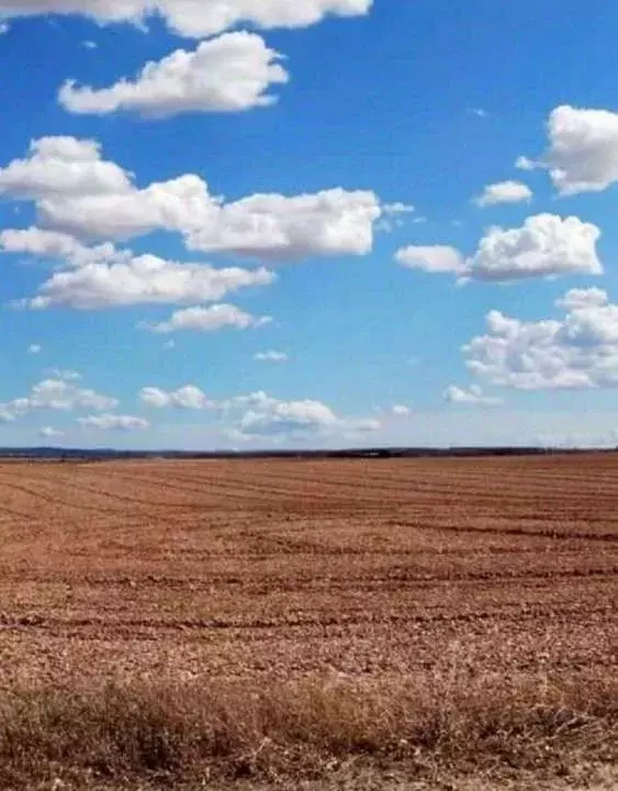 Участок в Воронежская область, Новоусманский район, с. Рогачевка  ... - Фото 0