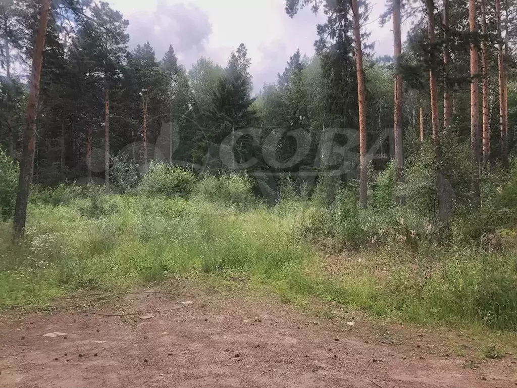 Участок 20 сот. (ИЖС) - Фото 1