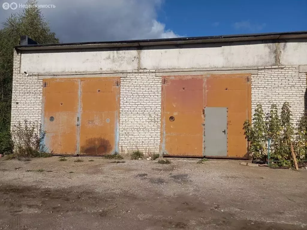 Помещение свободного назначения (150 м) - Фото 0