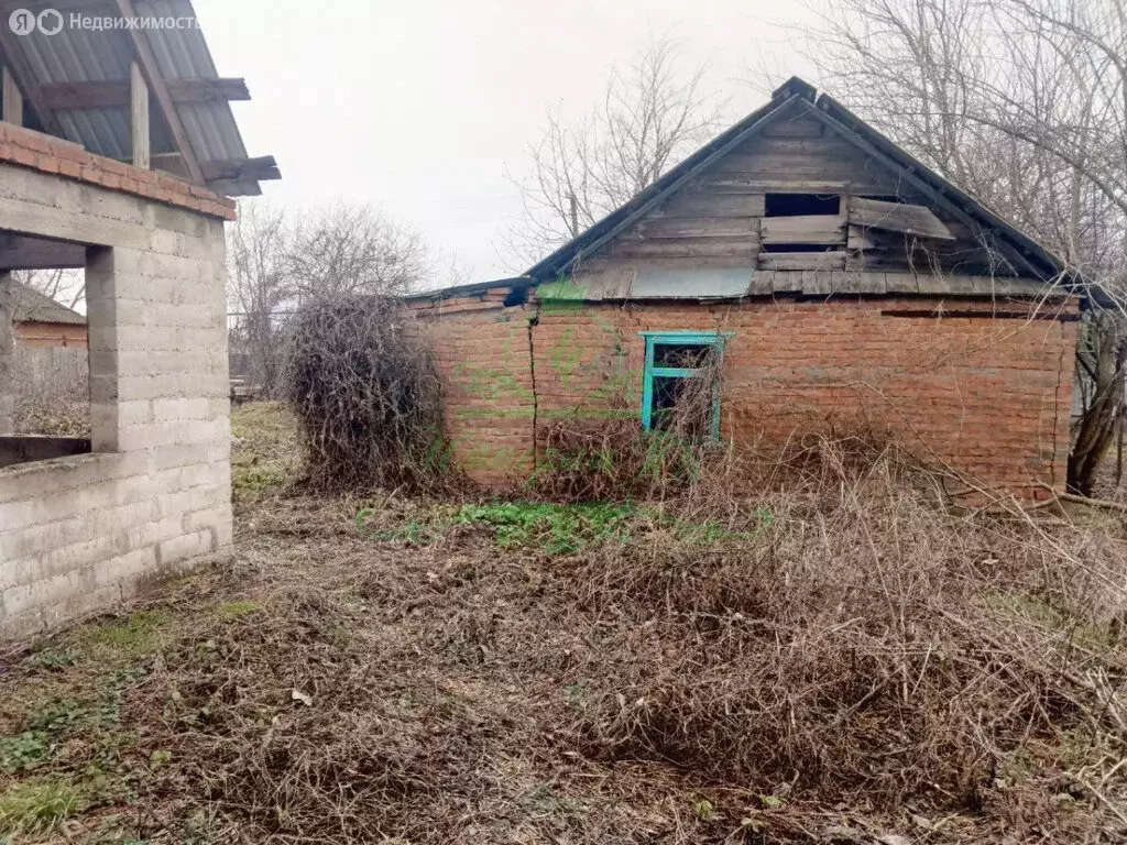 Участок в станица Старовеличковская, Восточная улица (15 м) - Фото 1