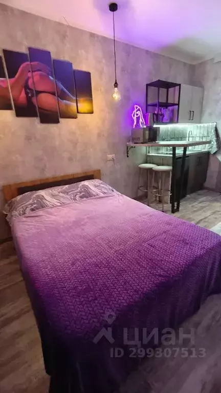 Студия Московская область, Видное ул. Галины Вишневской, 8к1 (20.0 м) - Фото 2