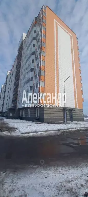 Студия Ленинградская область, Всеволожский район, Заневское городское ... - Фото 0