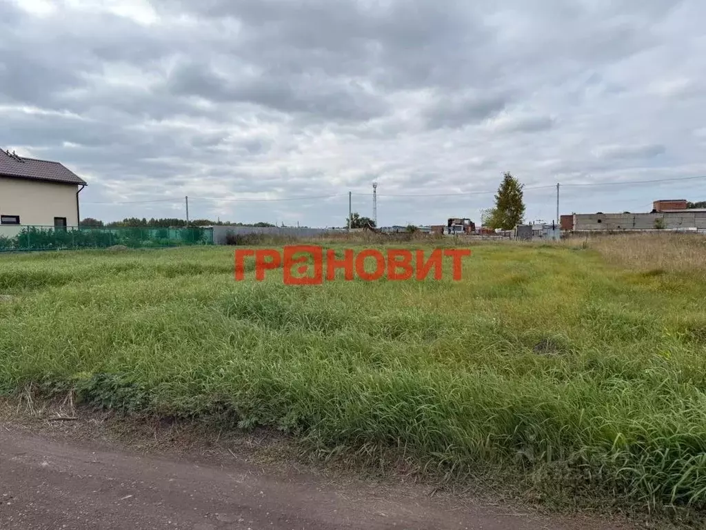 Участок в Новосибирская область, Новосибирский район, Верх-Тулинский ... - Фото 1