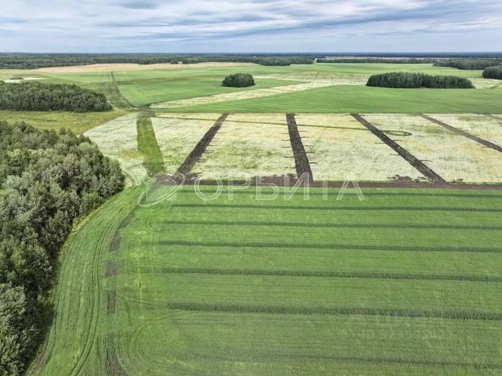 Участок в Тюменская область, Тюменский муниципальный округ, ... - Фото 0