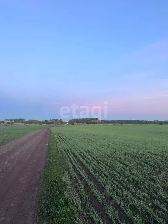 Участок в Татарстан, Тукаевский район, с. Биклянь ул. Заречная (15.0 ... - Фото 0