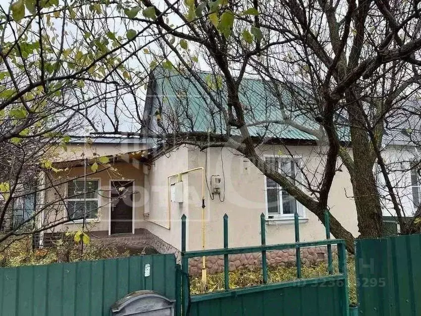 Дом в Воронежская область, Панино рп ул. Феоктистова, 8 (42 м) - Фото 2