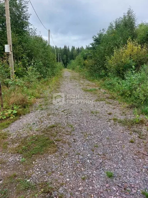 Участок в Ленинградская область, Выборгский район, Красносельское ... - Фото 2