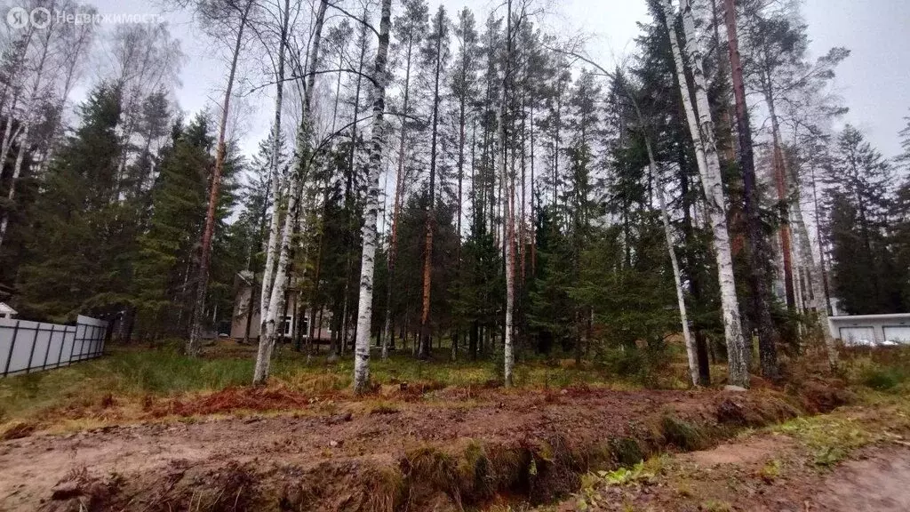 Участок в деревня Сарженка, дачное некоммерческое партнёрство Лесной ... - Фото 0