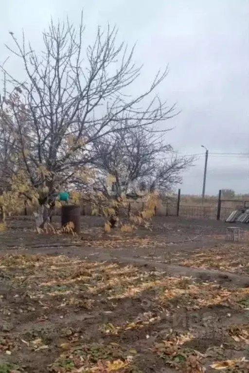 Участок в Волгоградская область, Среднеахтубинский район, Кировское ... - Фото 0