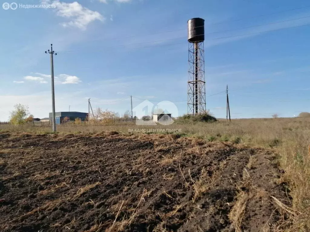 Участок в Ордынский район, село Рогалёво, Школьная улица (13.64 м) - Фото 1