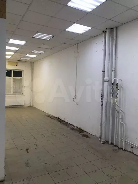 Сувениры/шары/зоомагазин/груминг/ресницы - Фото 1