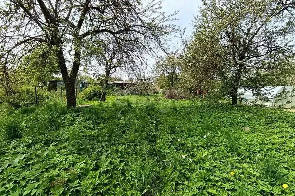 Участок в Костромская область, Кострома Просвещенец СТ,  (5.61 сот.) - Фото 1