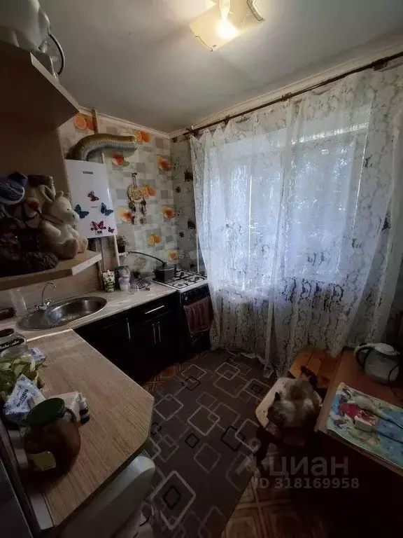 1-к кв. Белгородская область, Белгородский район, Майское с/пос, пос. ... - Фото 0