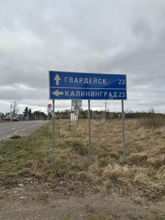 Участок в Калининградская область, Гвардейский муниципальный округ, ... - Фото 1