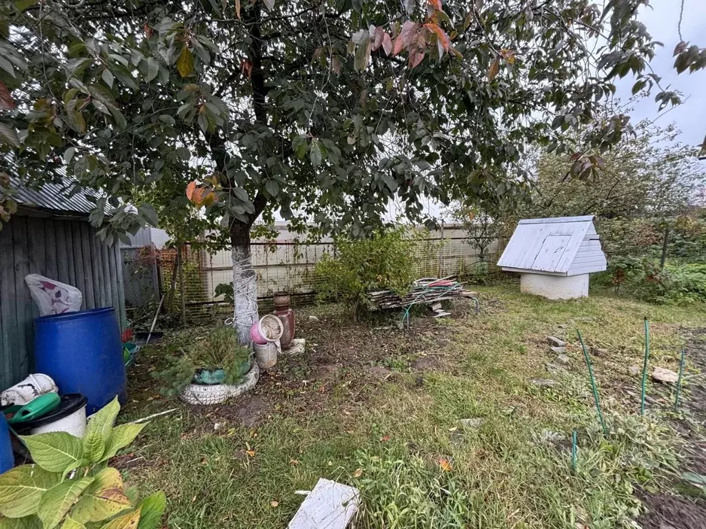 Участок в Калужская область, Город Калуга городской округ, д. Шопино ... - Фото 2