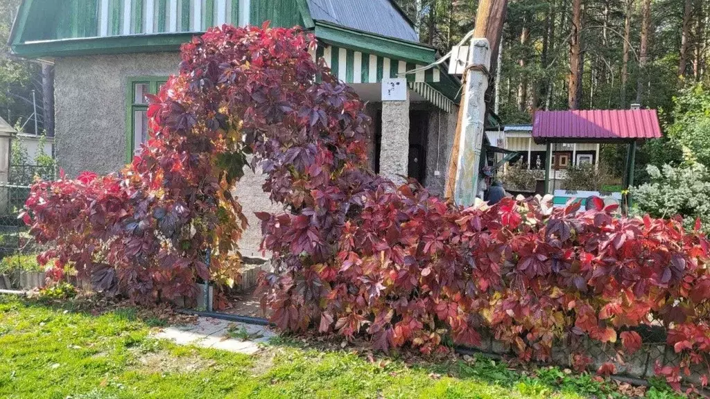 Дом в Свердловская область, Верхний Тагил № 6 КС,  (50 м) - Фото 0