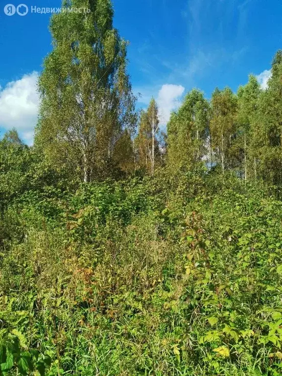Участок в Ярославская область, Переславль-Залесский муниципальный ... - Фото 1