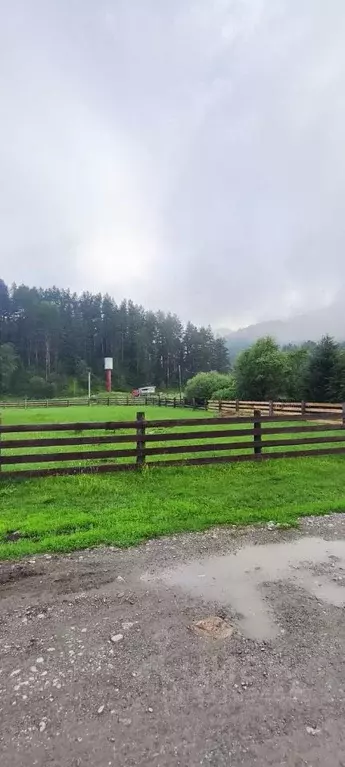 Участок в Алтай, Чемальский район, Узнезинское с/пос, с. Аскат ул. ... - Фото 2