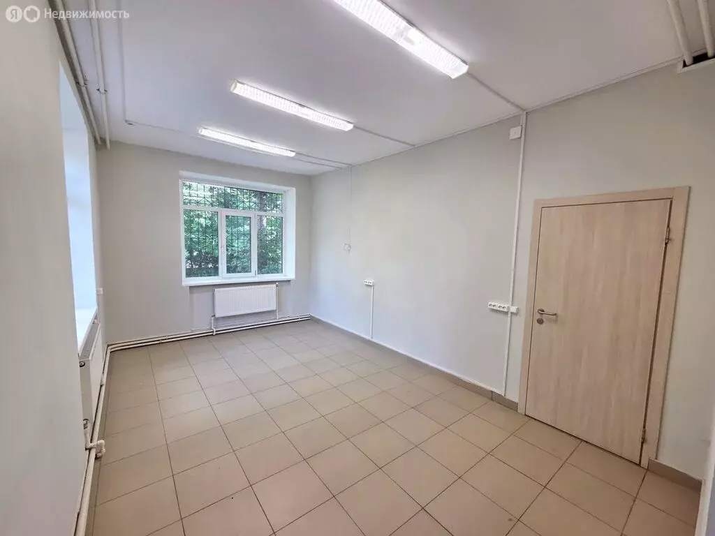 Офис (23.5 м) - Фото 2