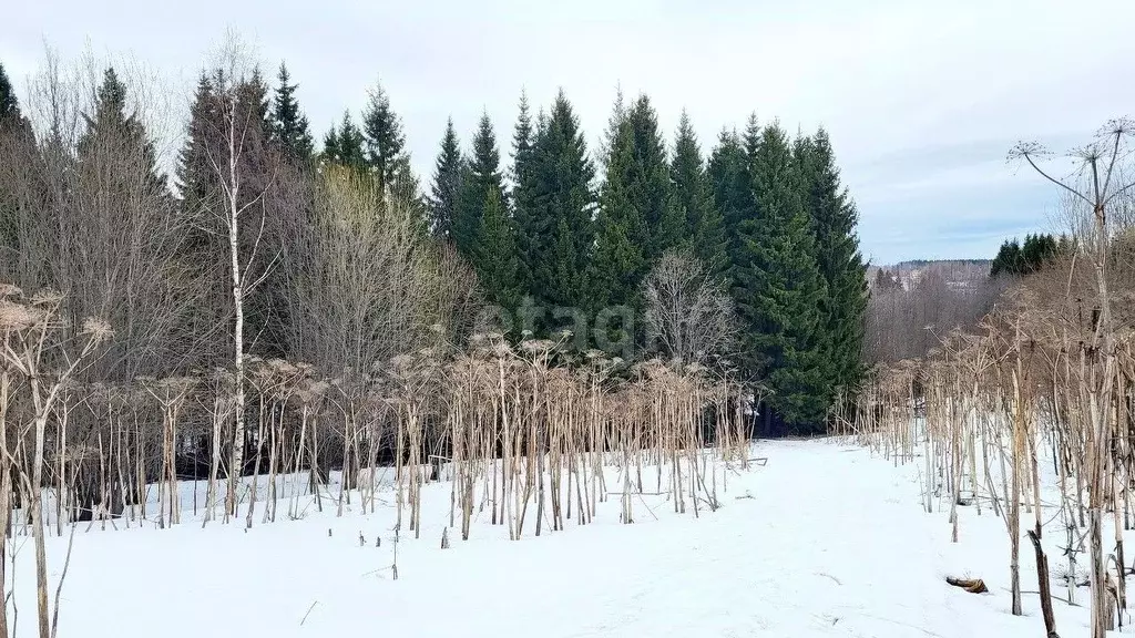 Участок в Коми, Сыктывдинский район, с. Выльгорт  (55.0 сот.) - Фото 1