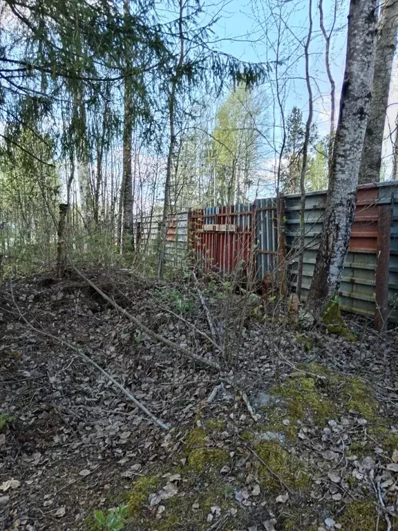 Участок в Ленинградская область, Тосненский район, Трубникоборское ... - Фото 1
