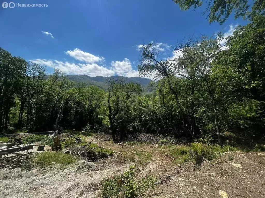Участок в Республика Крым, муниципальный округ Алушта, посёлок ... - Фото 1
