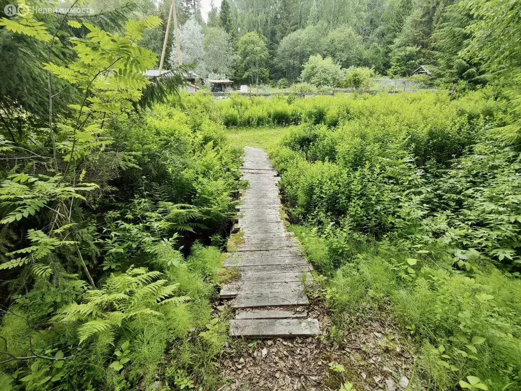 Дом в Петрозаводск, территория Кривая Берёза (54 м) - Фото 0