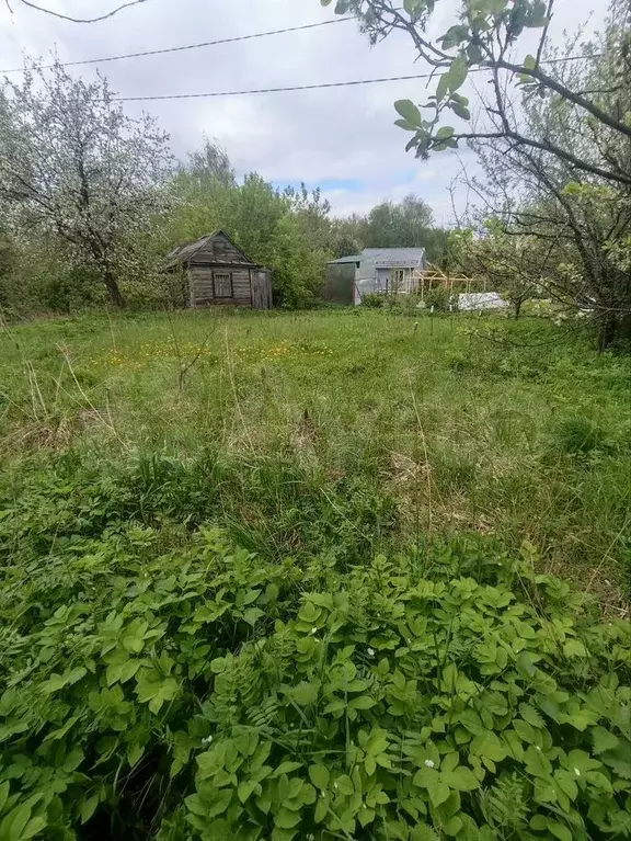 Участок 4 сот. (СНТ, ДНП) - Фото 1