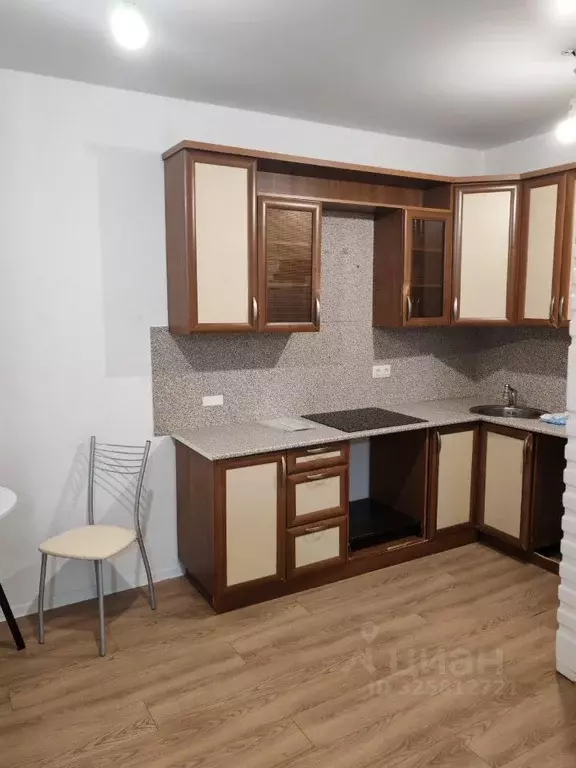 1-к кв. Московская область, Ленинский городской округ, д. Жабкино, ... - Фото 1