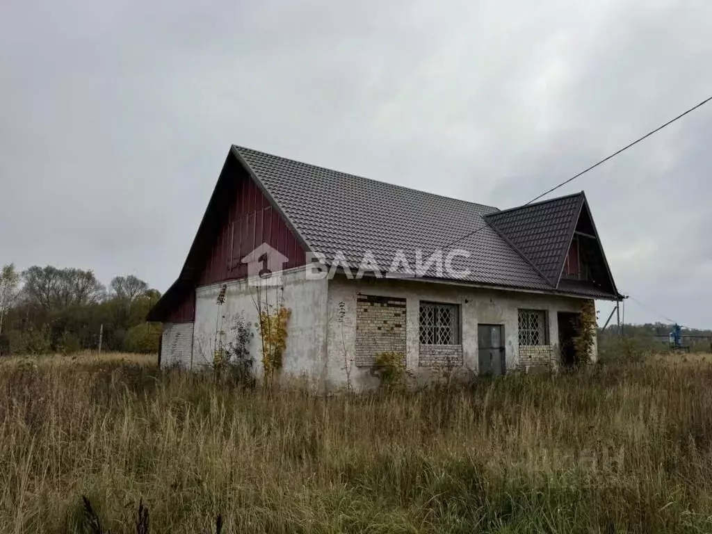 Торговая площадь в Владимирская область, Судогодский муниципальный ... - Фото 1