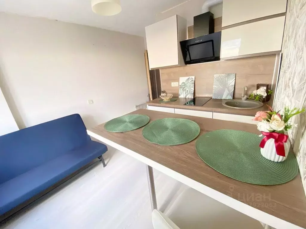 1-к кв. Московская область, Ивантеевка Пушкинский городской округ, ул. ... - Фото 2