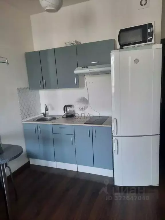 Студия Санкт-Петербург Комендантский просп., 66к3 (24.7 м) - Фото 1