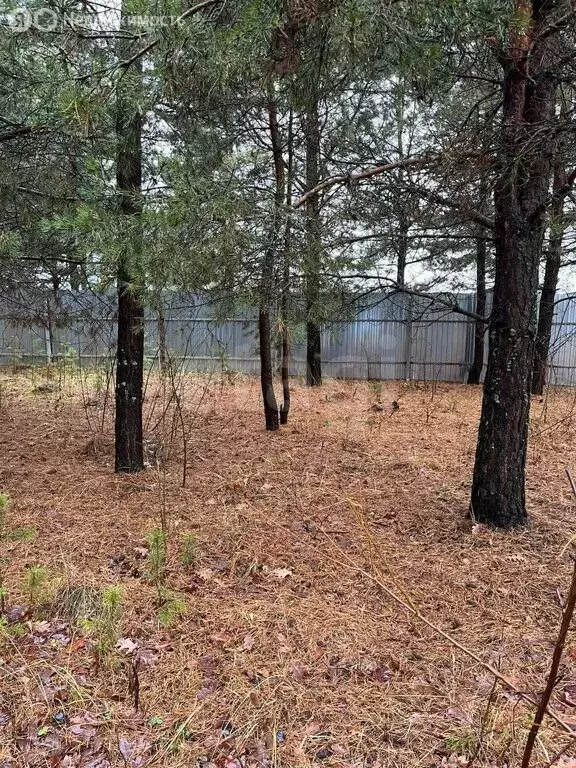 Участок в Лямбирский район, Саловское сельское поселение, село ... - Фото 1