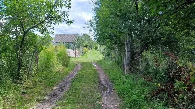 Участок 5 сот. (СНТ, ДНП) - Фото 0
