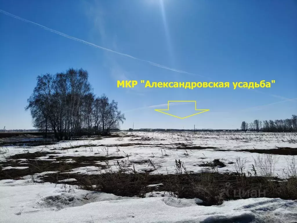 Участок в Омская область, Омский район муниципальный округ, с. Дружино ... - Фото 2