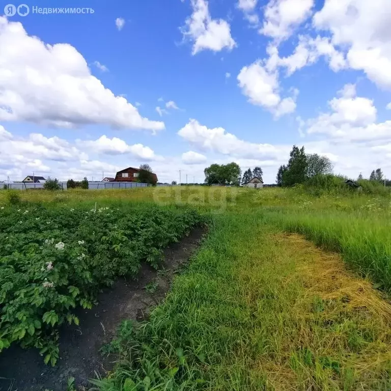 Участок в Свердловская область, Талицкий муниципальный округ, деревня ... - Фото 2