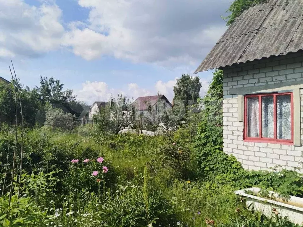 Участок 6 сот. (СНТ, ДНП) - Фото 1