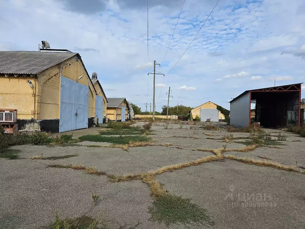 Склад в Краснодарский край, Новокубанск Шоссейная ул. (6000 м) - Фото 0