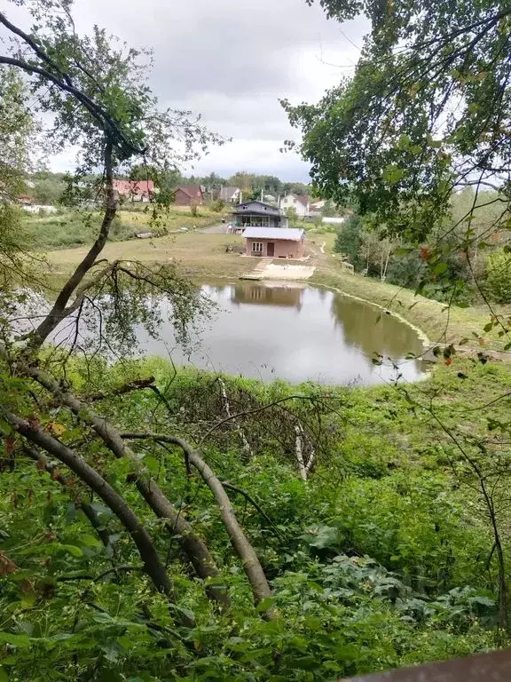 Дом в Московская область, Серпухов городской округ, д. Семеновское  ... - Фото 1